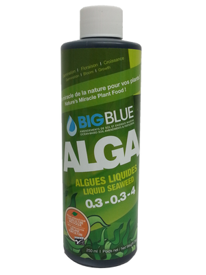 Big Blue Alga Bio-Fertilizer