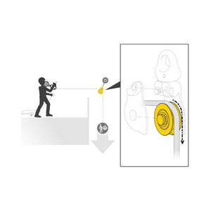 Petzl Spin L1D Diagram