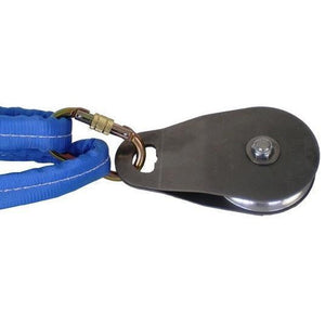 A Carabiner Attaching A Block To A Sling