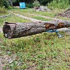 Logrite Stand Being Used With Hook to Elevate Log
