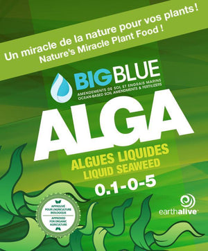 Big Blue Alga Bio-Fertilizer