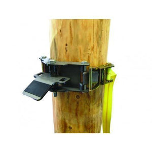 Winch Anchor System for Trees and Poles
